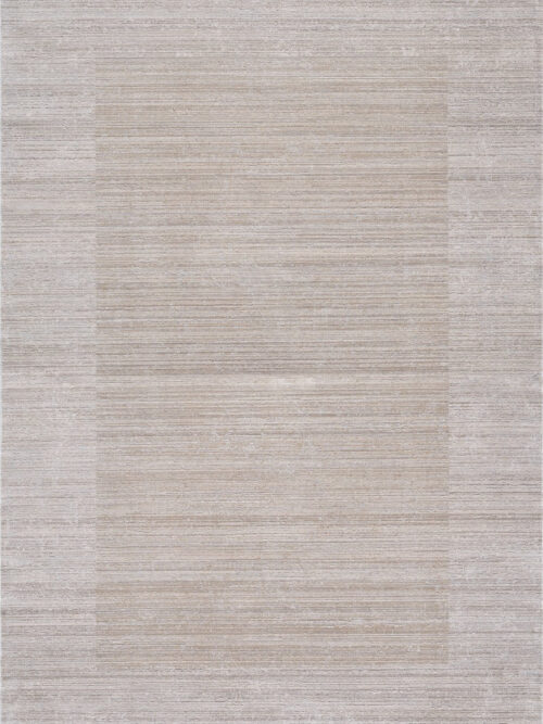 Neutral Frame Modern Bordered Rug - MN-EW/5541SD