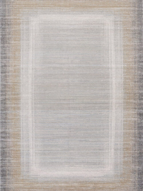 Harmony in Contours Modern Bordered Rug - MN-EW/5743SD